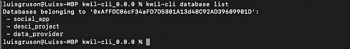 Introducing the Kwil CLI (2).png