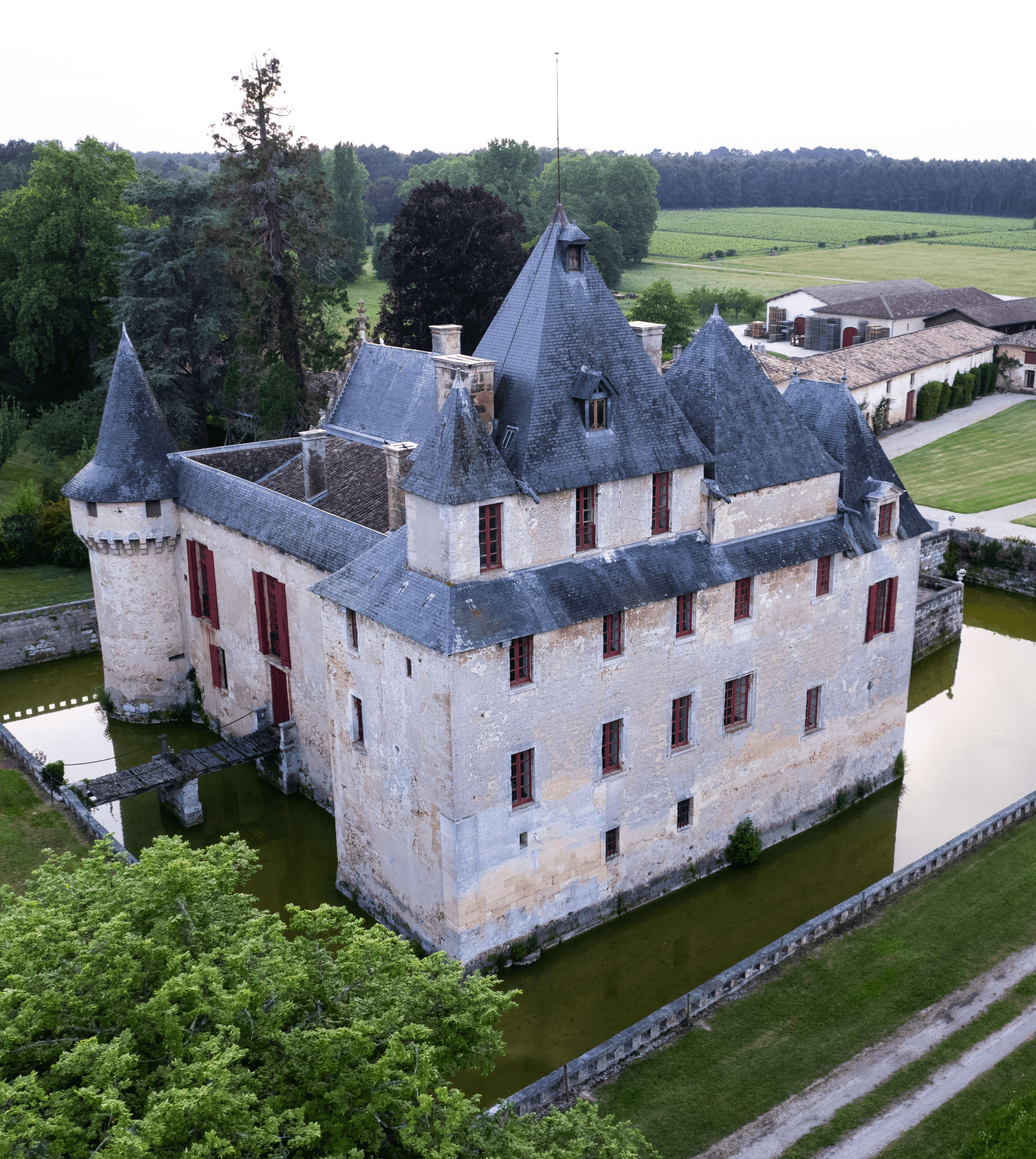 Accueil - Chateau Olivier