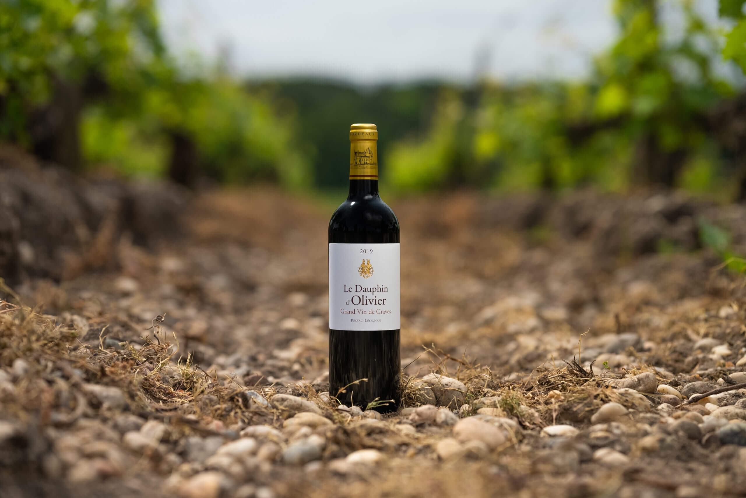 Dauphin d’Olivier Rouge - Chateau Olivier