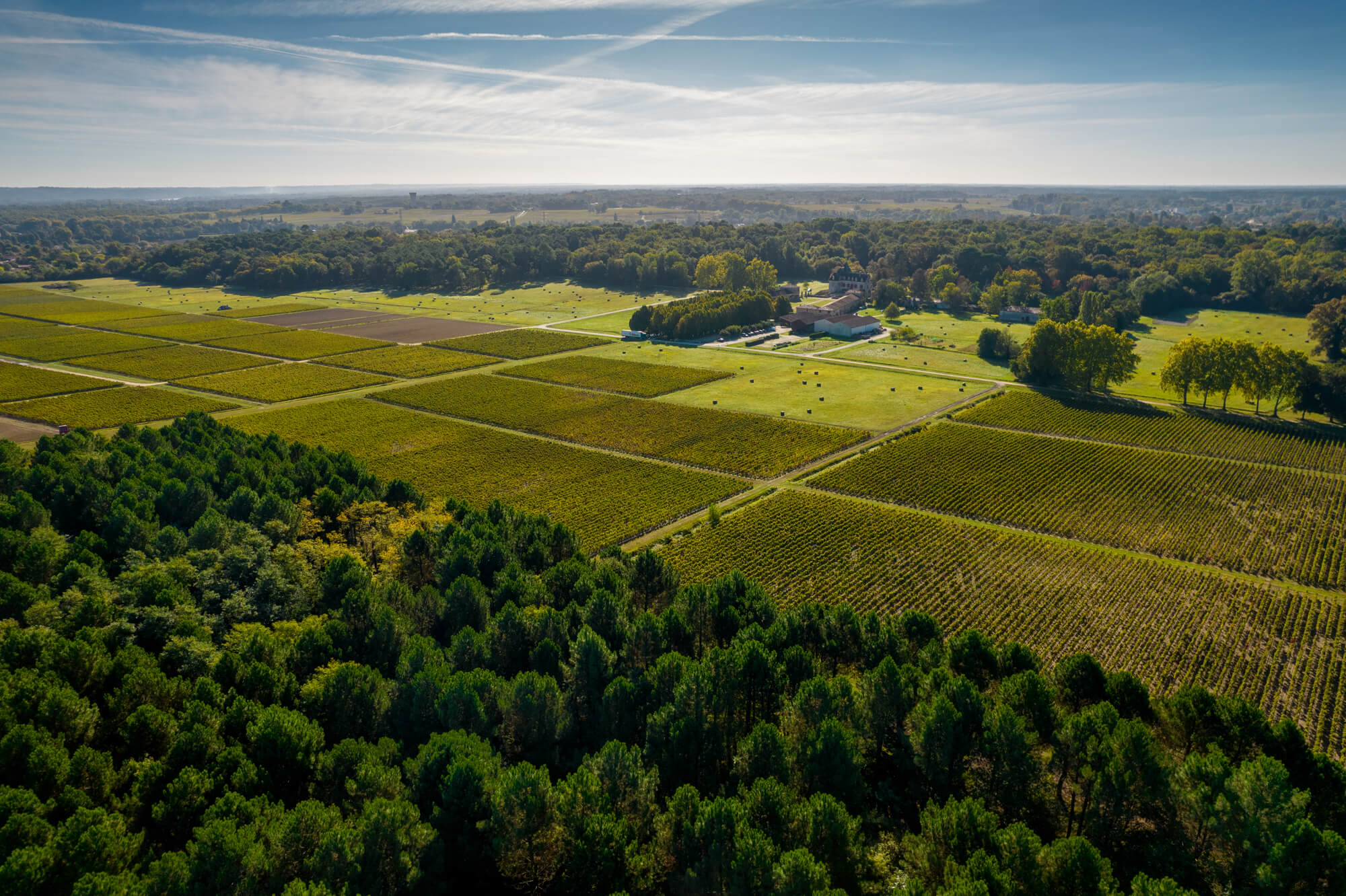 Accueil - Chateau Olivier