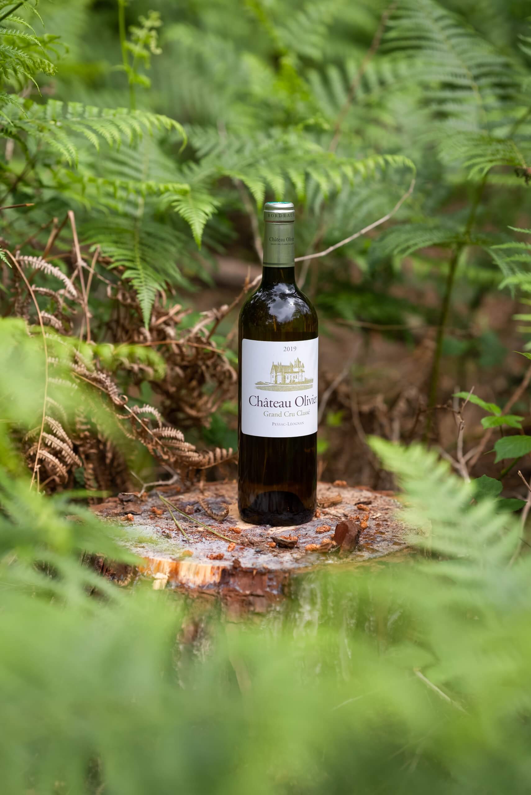 Savoir-faire - Chateau Olivier