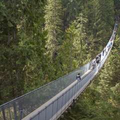 Capilano Suspension Bridge 