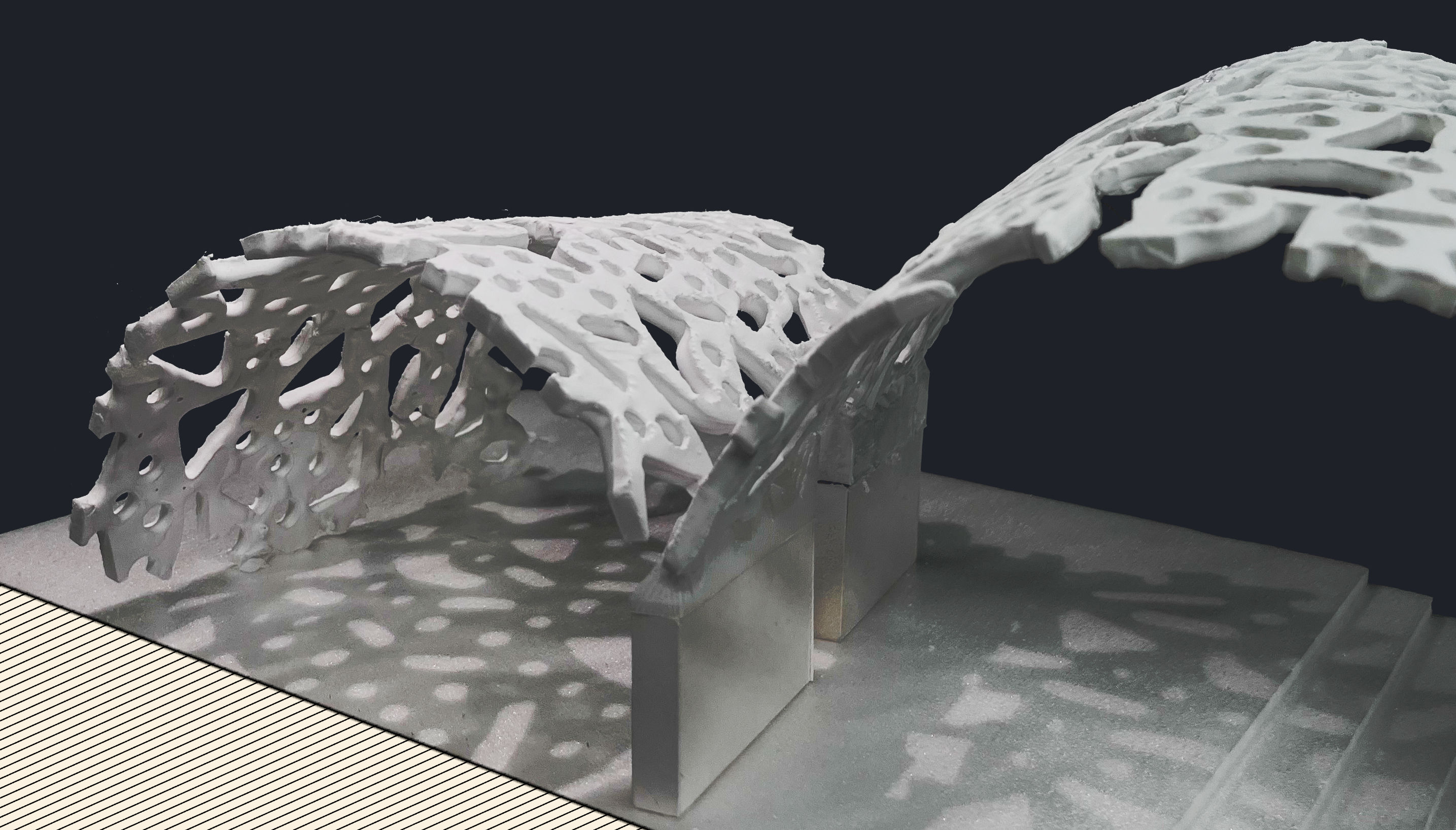 Mycelium Vault model perspective