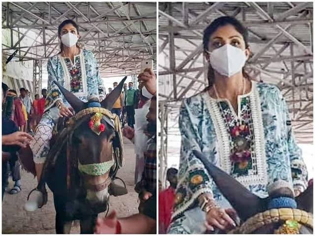 Bollywood Update : अभिनेत्री शिल्पा शेट्टी पहुंची माता वैष्णो देवी के दरबार