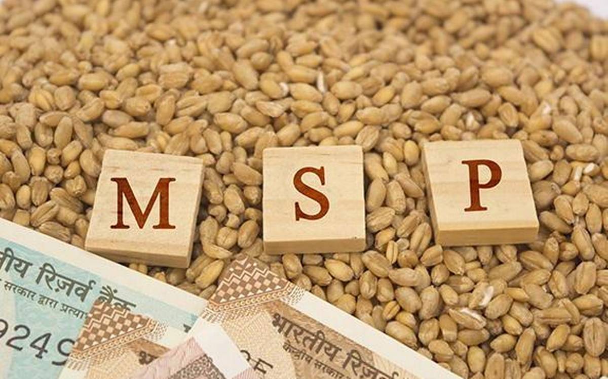 एमएसपी गारंटी को लेकर केंद्र सरकार कर रही कानून बनाने की तैयारी