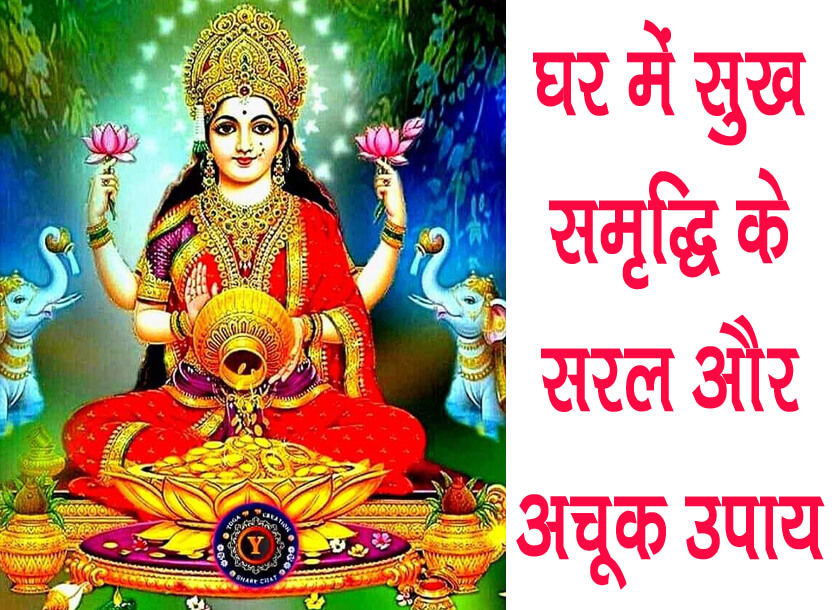 सुख समृद्धि की हो गई है कमी या विकास हो गया अवरुद्ध, तो ये उपाय आएंगे काम