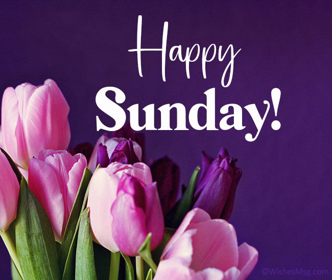 Happy sunday