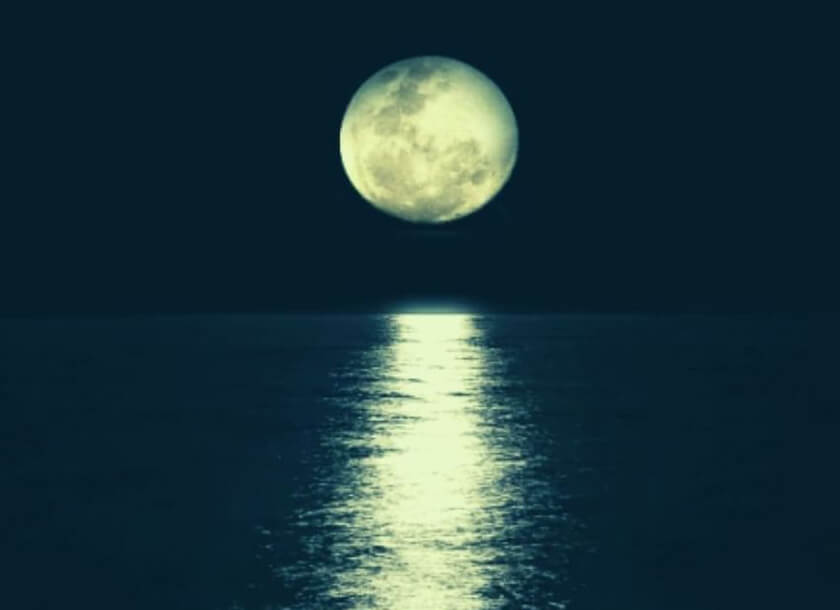 Purnima 1