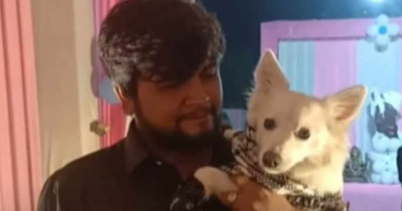 Viral Video: 7 लाख खर्च करके धूमधाम से मनाई कुत्ते की बर्थडे पार्टी, 3 लोग गिरफ्तार