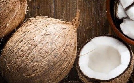 Health : सेहत : ये हैं 'डॉक्टर नारियल'