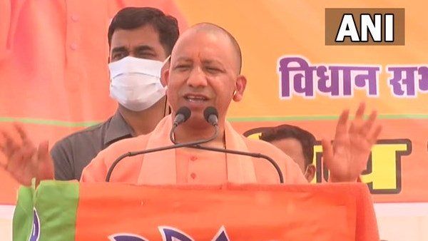 Yogi