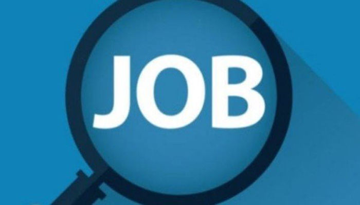 Government Job