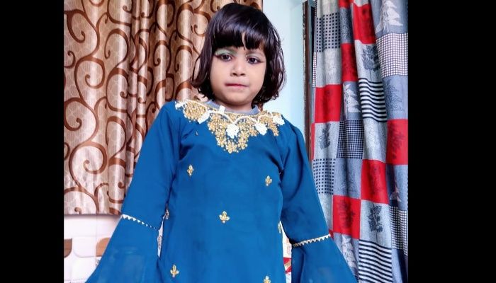 Saharanpur News : आवारा कुत्तों ने 5 साल की बच्ची को नोंच नोंच कर मार डाला