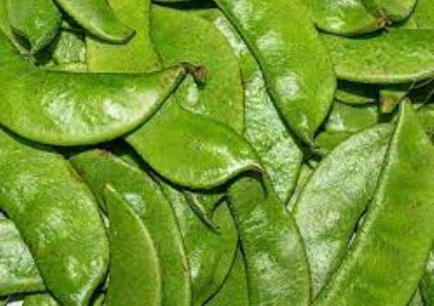 Health: चित्त एकाग्र और प्रसन्न रहता है 'सेम की फली' खाने से!