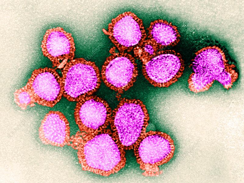 H3N2