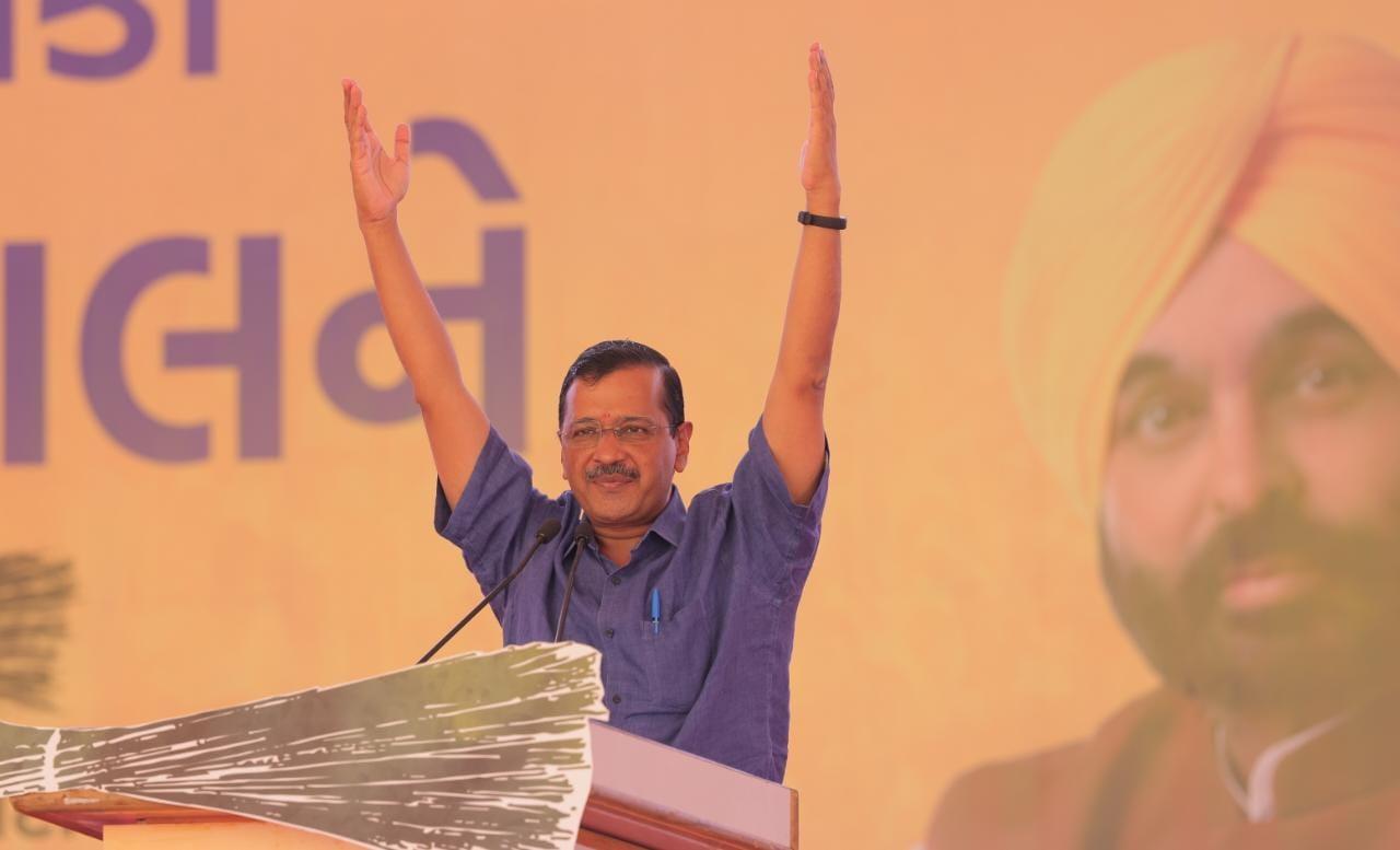 WhatsApp Image 2022 10 29 at 4.26.20 PM