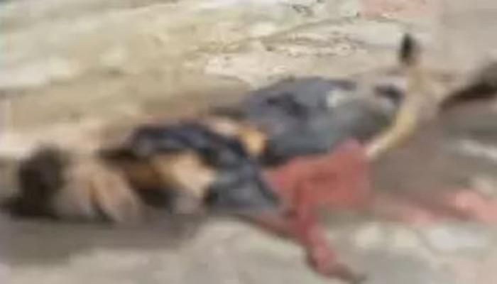 Pakistan हैरत : अस्पताल की छत पर मिली सैकड़ों सड़ी लाशें , महिलाओं के नग्न शव