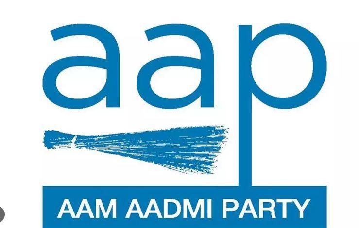 AAP Logo