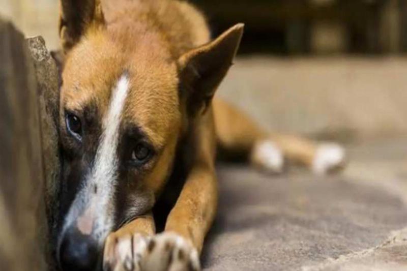 Picsart 22 11 22 12 15 38 703