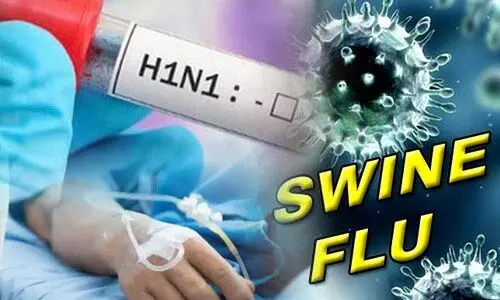 Swine flu