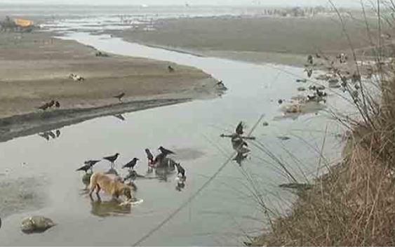 RajyaSabha News: रास में भाजपा सदस्य ने की नदियों से गाद हटाने की मांग