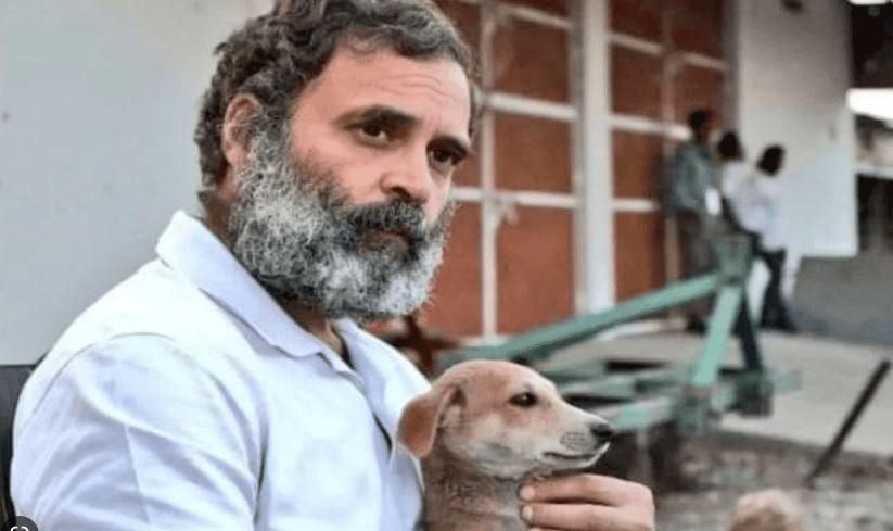 Rahul gandhi 2