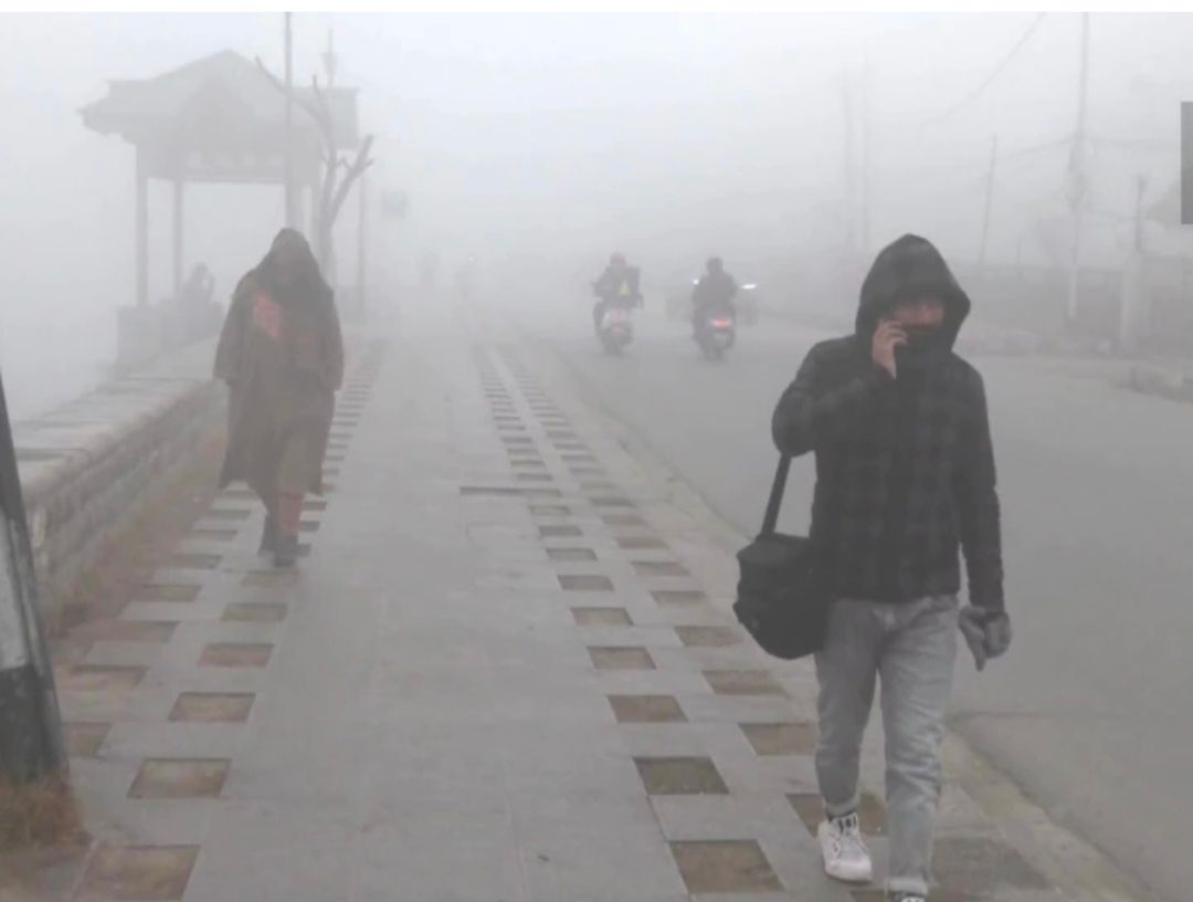 Delhi Cold : आठवें दिन भी जारी रहा शीत लहर का प्रकोप, न्यूनतम तापमान में ज्यादा बदलाव नहीं