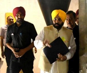 NewAssembly 300x249 1