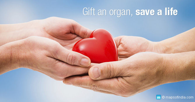 MP News : फौजी के सीने में धड़केगा एमपी के कारोबारी का दिल, सेना के विशेष विमान से पुणे भेजा गया हृदय