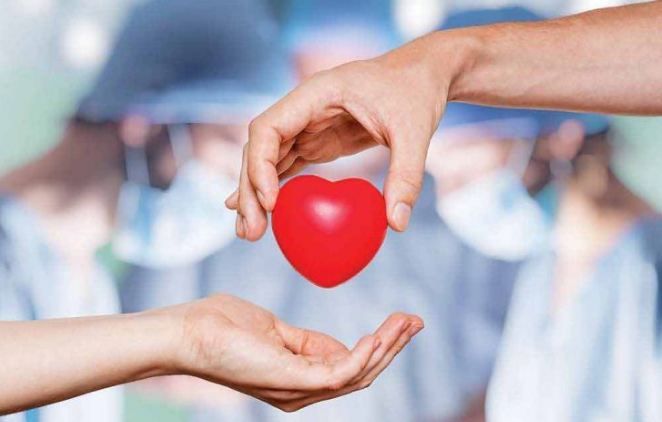 वर्ष 2022 में रिकॉर्ड 15 हजार से अधिक अंग प्रतिरोपण हुए: केंद्रीय स्वास्थ्य सचिव