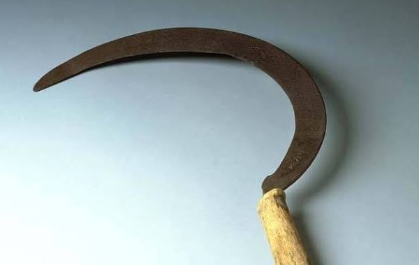 Maharashtra: इस शहर में ‘हसिया’ खरीदने के लिए देना होगा यह डाक्यूमेंट