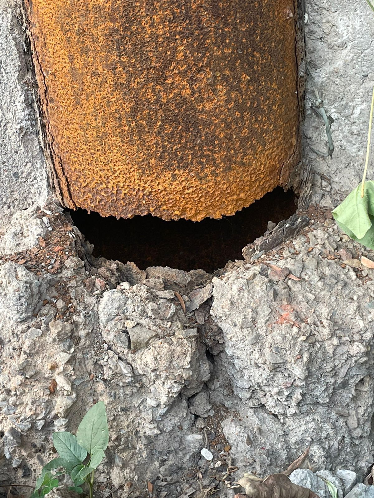 NOIDA SAMACHAR: समय रहते करें निदान, बाद में केवल दलील ही रह जाएगी