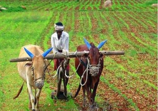 Screenshot 2023 03 15 111129