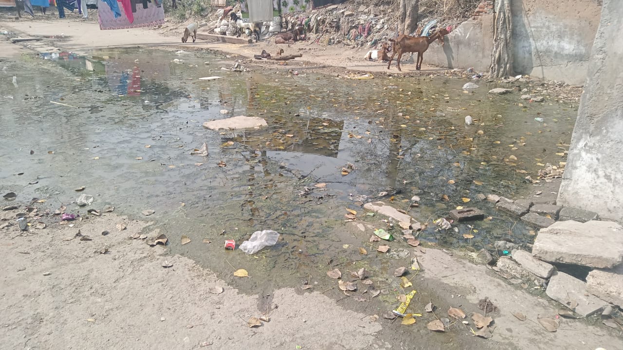 New Delhi News : कई महीनों से ओवर फ्लो होती नाली