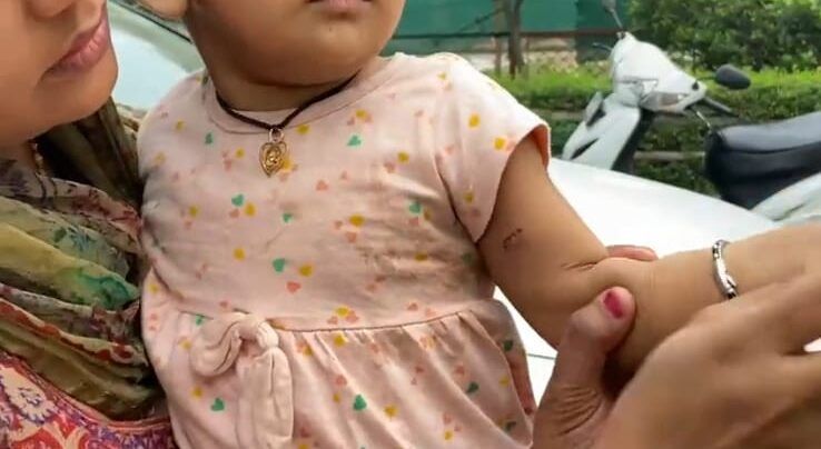 Greater Noida News : घर के बाहर खड़ी बच्ची को मुंह में दबा कर ले जा रहे थे आवारा कुत्ते, निवासियों में दहशत