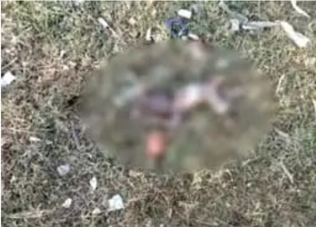 UP News : कूड़े में मिला नवजात बच्ची का शव, कुत्ते नोचकर खा रहे थे, हाथ और पैर गायब