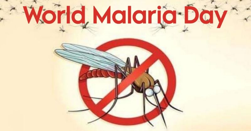 Picsart 23 04 25 08 00 03 541