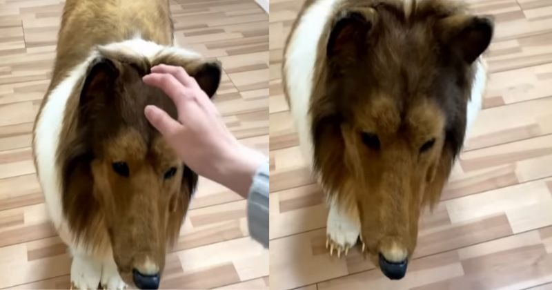 Picsart 23 04 26 15 03 27 423