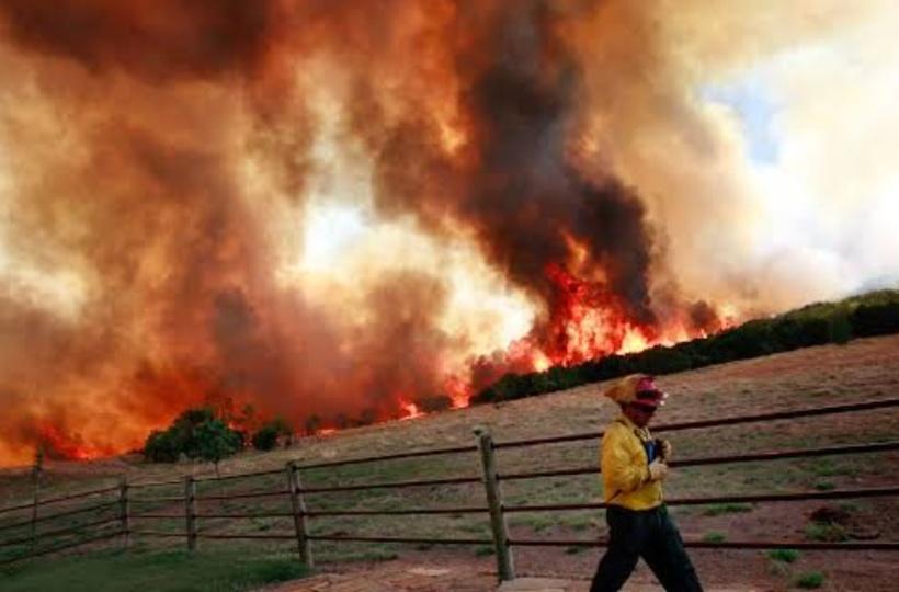 WhatsApp Image 2023 04 14 at 10.09.15 AM