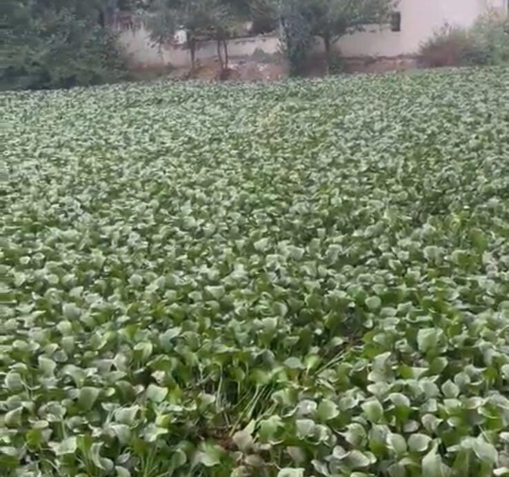 WhatsApp Image 2023 04 21 at 3.14.15 PM e1682070618691