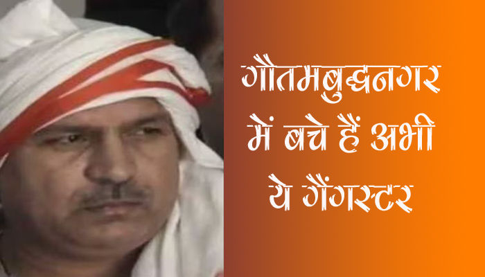 Anil Dujana Encounter: योगी की लिस्ट में था गैंगस्टर दुजाना का नाम, गौतमबुद्धनगर के 6 गैंगस्टर बाकी