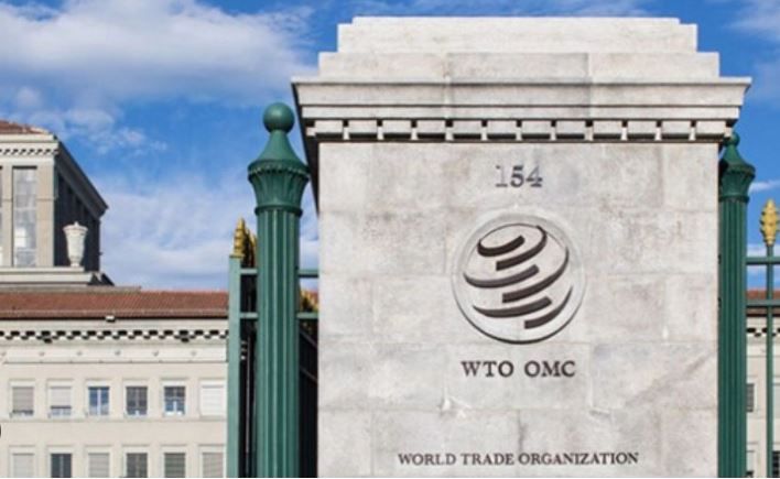 Business News : आईसीटी आयात शुल्क मामला : भारत ने डब्ल्यूटीओ समिति के फैसले को चुनौती दी