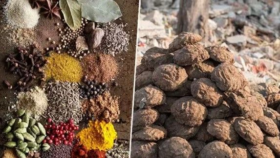 New Delhi News : गूगल मिलावट के दावे वाले वीडियो हटाए : हाई कोर्ट