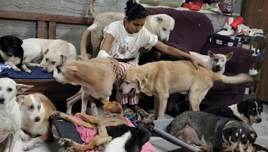 WhatsApp Image 2023 05 15 at 2.35.56 PM