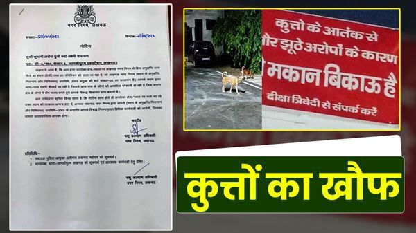 UP News: पड़ोसी के 45 कुत्तों से परेशान परिवार प्लायन को मजबूर, लगा दिया 'मकान बिकाऊ है' का बोर्ड