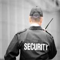 Noida News : सिक्योरिटी कंपनी के प्रबंधक व उसकी पत्नी ने किया लाखों का गबन