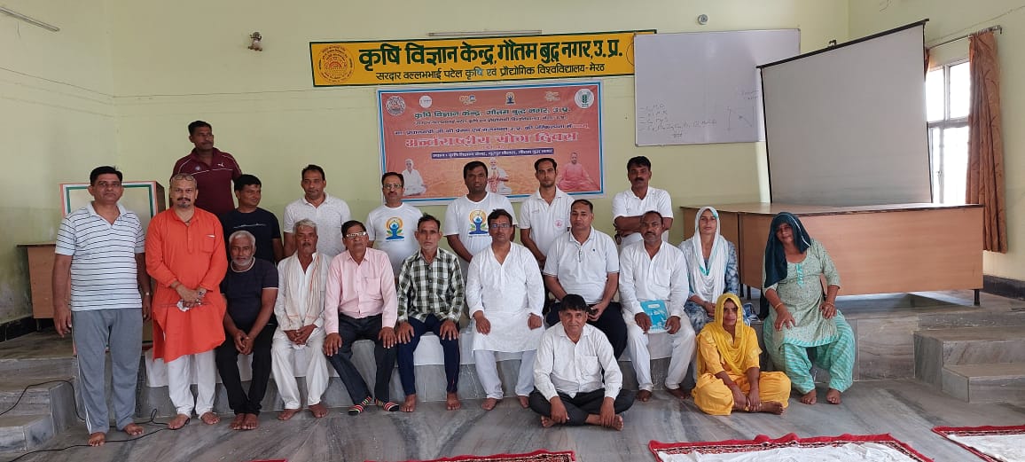 Noida News : कृषि विज्ञान केंद्र पर अधिकारियों के साथ किसानों ने भी किया योग , मनाया योग दिवस