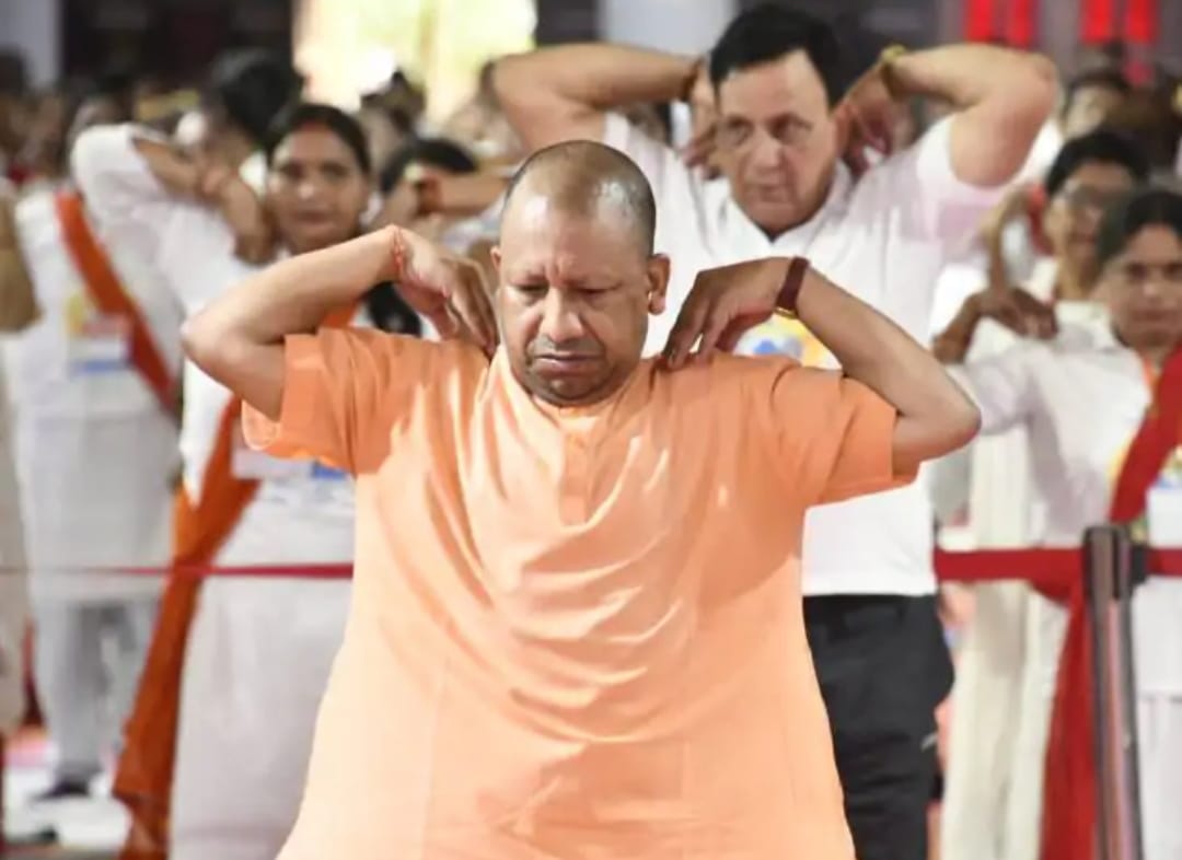 Yogi 3