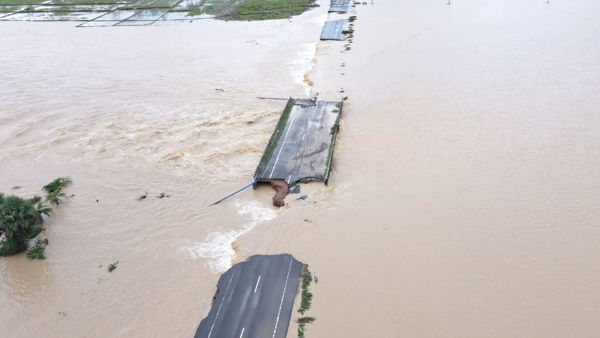 Weather Alert : भारी बारिश से गई 8 लोगों की जान, स्कूल-कॉलेज में छुट्टी हुई घोषित