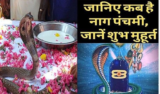 Nag Panchami 2023: इस दिन मनाई जाएगी सावन की पहली नाग पंचमी, जानें डेट और शुभ मुहूर्त